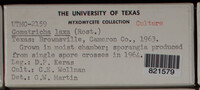 Image Associated With the Occurence